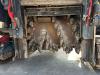 Bomag BM1000-35 Foto 14 thumbnail