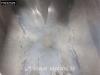 Spitzer SFS 2x Liftachse 39m3 Cement Foto 10 thumbnail