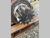 Hitachi ZX470LCH-5B Foto 3 thumbnail