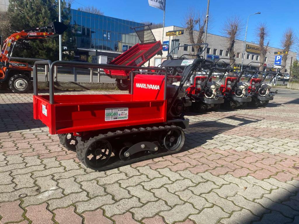 Gior 500 Honda Maruyama Foto 14