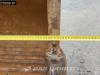 Liebherr R970 S HD Foto 12 thumbnail