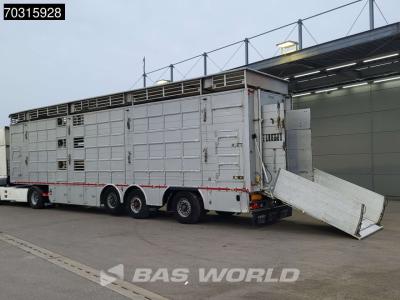 Pezzaioli 3 axles vendida por BAS World B.V.