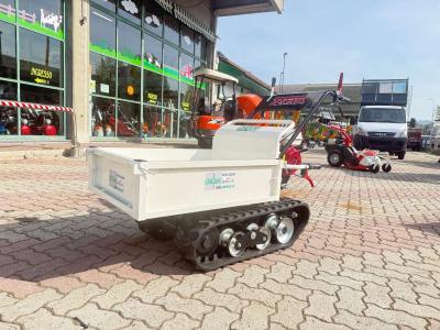 Tekna 400 HONDA AGRICOLA FORESTALE - UNICA SUL MERCATO - CAMBIO A LEVA SU CONSOLE vendida por Giordano Srl
