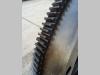 Volante de inercia para Fiat AD7 - FL8 - CODICE 585261 Foto 2 thumbnail