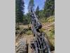 John Deere 1470D Foto 7 thumbnail