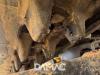 Wacker Neuson 803 Foto 26 thumbnail