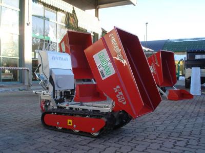 Rotair RAMPICAR R60 HONDA DUMPER vendida por Giordano Srl
