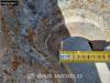 Verachtert 950M Foto 11 thumbnail