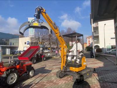 Kato HD 17 VXE Completo di PINZA LEGNA & ROTORE IDRAULICO 3,5 TON vendida por Giordano Srl