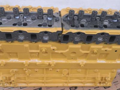 Motor de bloque largo para Caterpillar 3066 vendida por CERVETTI TRACTOR Srl