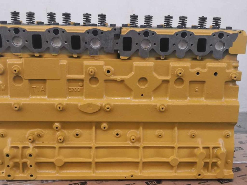 Motor de bloque largo para Caterpillar 3066 Foto 2