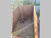 Iveco EUROCARGO ML100E22 Foto 16 thumbnail