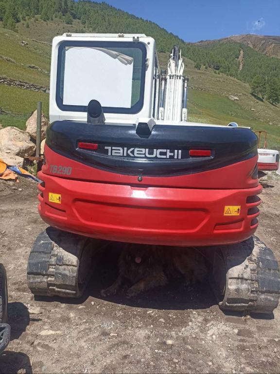 Takeuchi TB 290 Foto 2