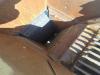 Rev GCV 75 Foto 6 thumbnail