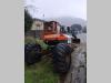 Kaiser ragno Foto 3 thumbnail