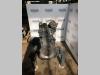 Iveco NEF F4GE0684 Foto 1 thumbnail