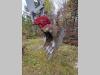 Takeuchi TB1140 Foto 10 thumbnail