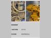 Caterpillar MOTORE REVISIONATO CAT 3054 Foto 3 thumbnail