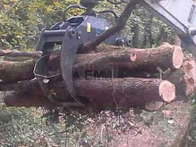 EMM Pinza da legna 1000mm con rotore Foto 2