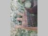 Fiat Hitachi BENNE Foto 10 thumbnail