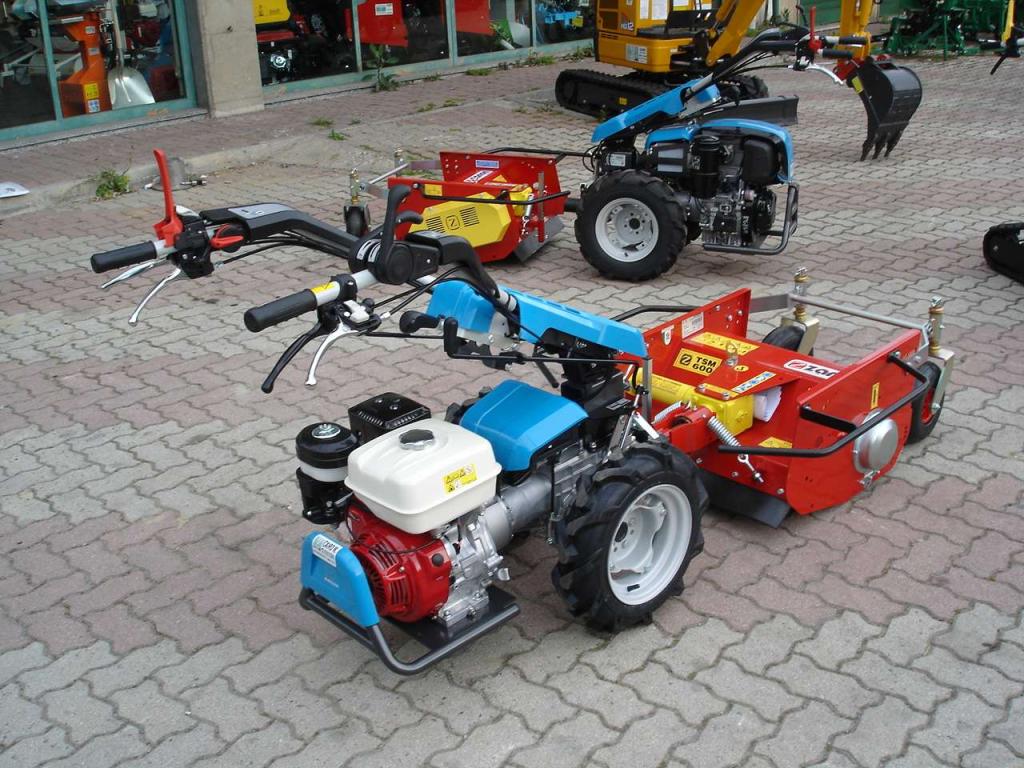 Bertolini 407 S HONDA - CON TRINCIA ZANON Foto 6