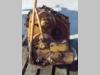 Transmisión para Fiat Allis FL14D - FL14E - FL10E - CODICE 79032242 Foto 3 thumbnail