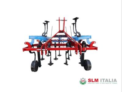Vibrocultivator vendida por SLM Italia