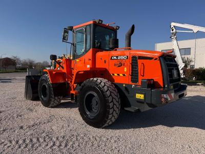 Doosan DL250 vendida por Skynet Srl