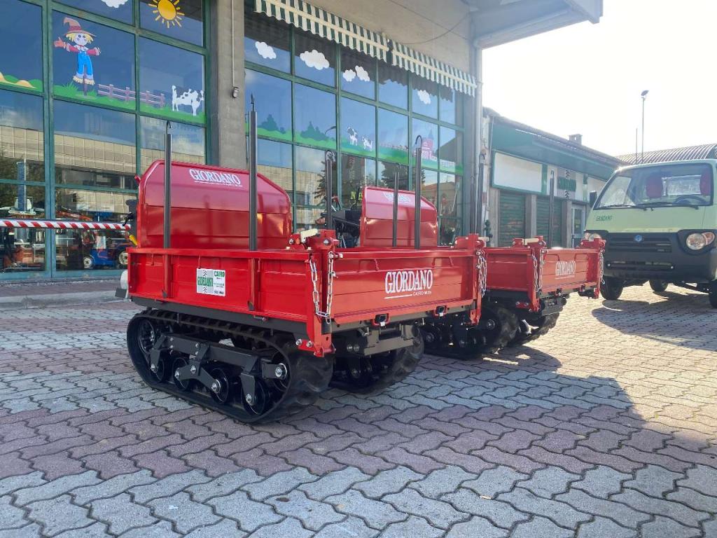 Gior 1000 AGRICOLA FORESTALE HONDA Foto 10