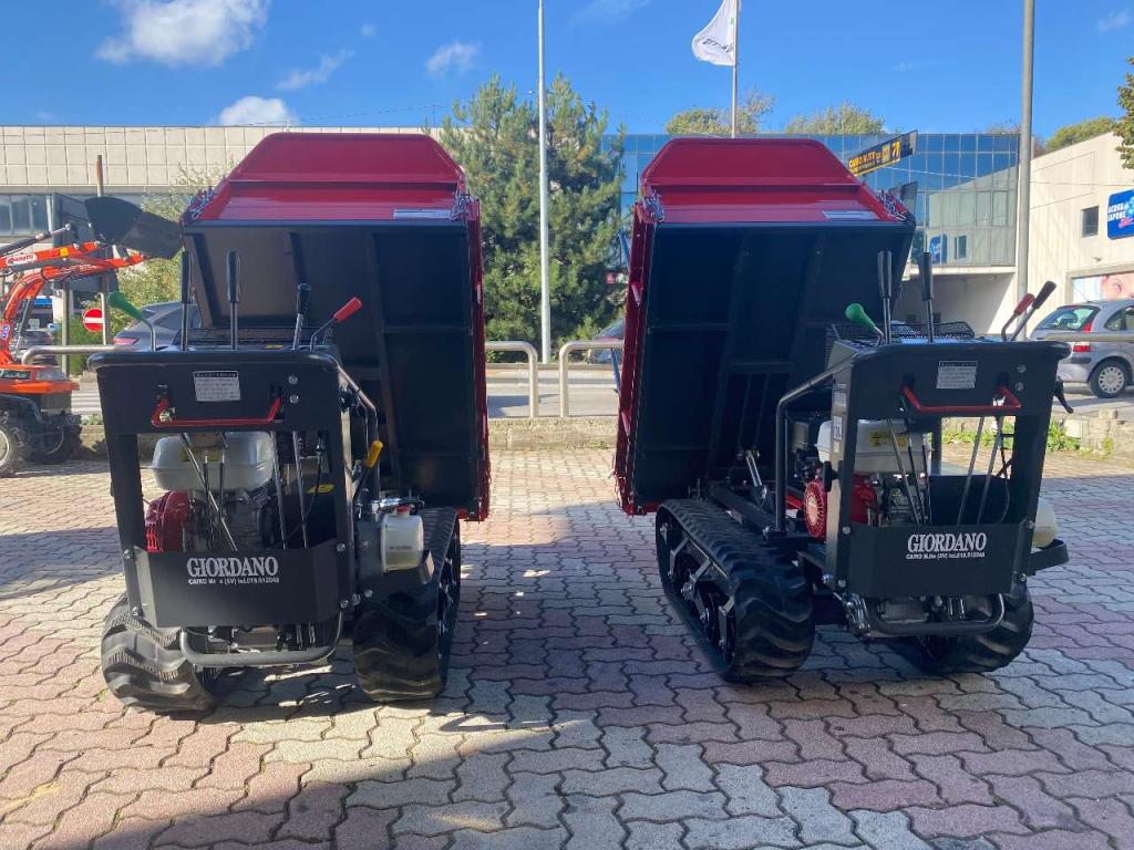 Gior 1000 AGRICOLA FORESTALE HONDA Foto 13