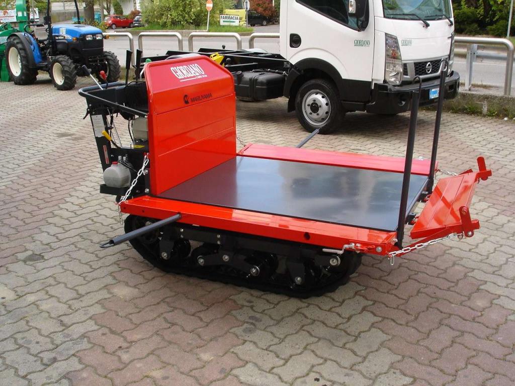 Gior 1000 AGRICOLA FORESTALE HONDA Foto 14