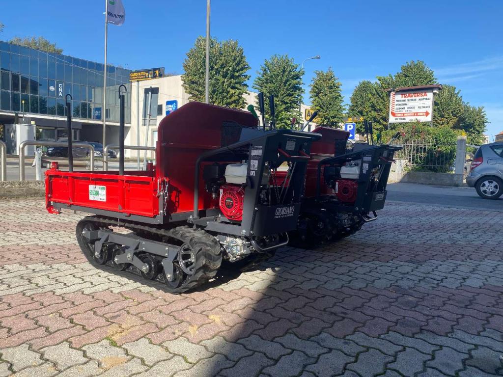 Gior 1000 AGRICOLA FORESTALE HONDA Foto 16