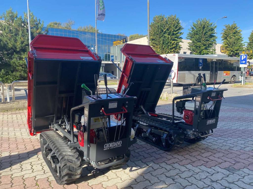 Gior 1000 AGRICOLA FORESTALE HONDA Foto 17