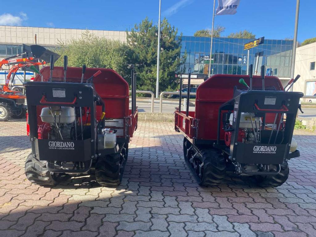 Gior 1000 AGRICOLA FORESTALE HONDA Foto 20