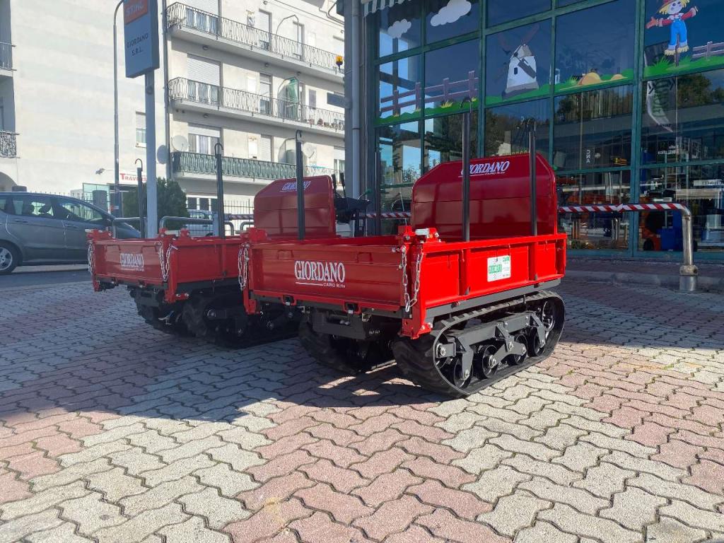 Gior 1000 AGRICOLA FORESTALE HONDA Foto 4