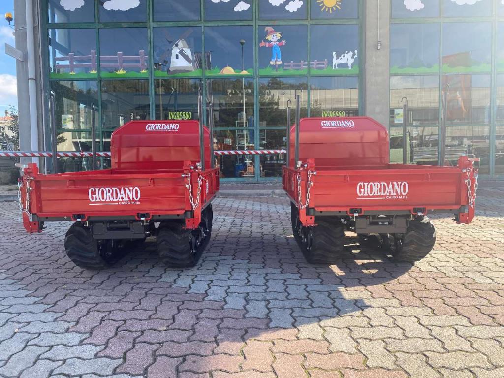 Gior 1000 AGRICOLA FORESTALE HONDA Foto 8