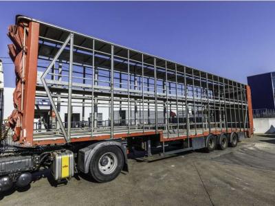 Lecitrailer CUELLO CISNE 3E-RD+DOUBLE ETAGE+DHOLLANDIA 2TON vendida por Braem NV