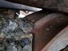 Liebherr PR 736 LGP Foto 24 thumbnail