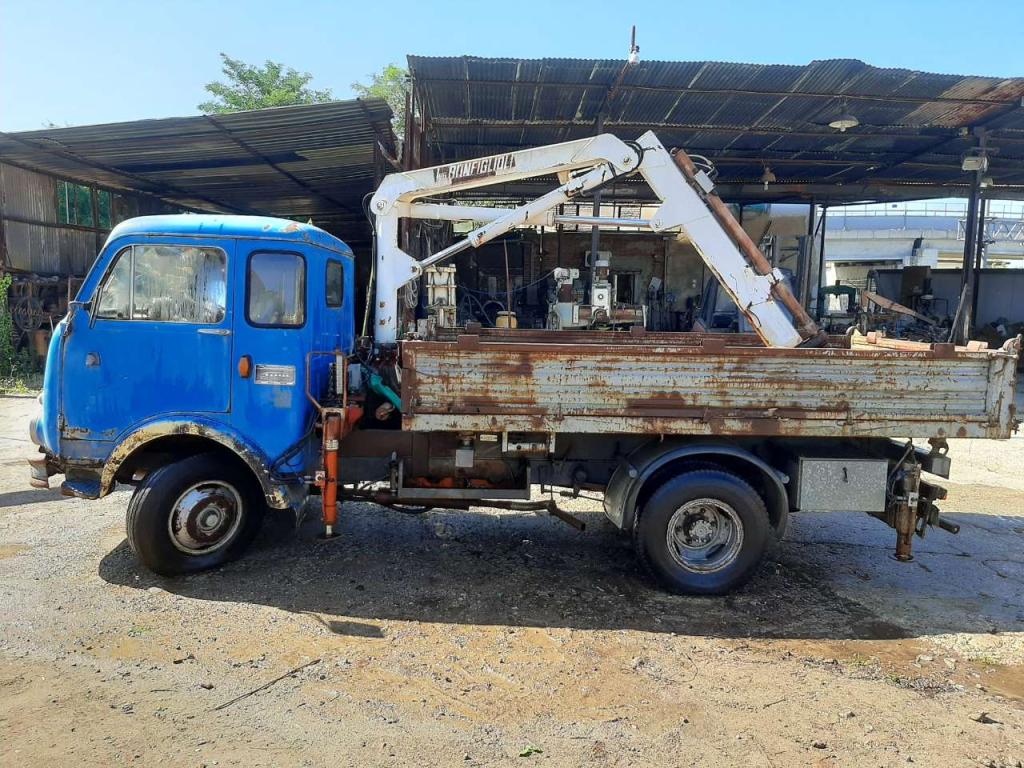 OM LEONCINO Foto 3