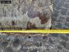 Caterpillar 308 E2 CR A/C - 3 Buckets Foto 13 thumbnail