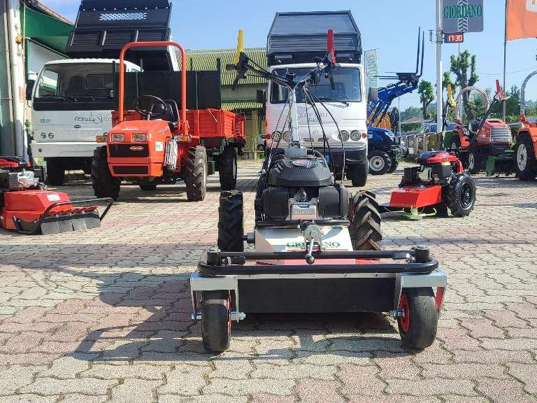 Tekna FL 620 - HONDA BENZINA - LARGHEZZA TAGLIO CM 60 Foto 1