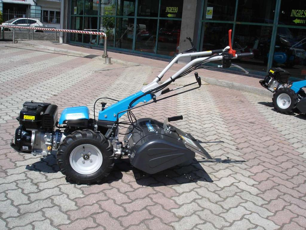 Bertolini 405 S Emak Diesel Foto 2