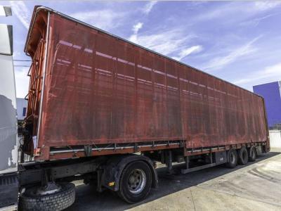 Lecitrailer CUELLO CISNE 3E-RD+DOUBLE ETAGE+DHOLLANDIA 2TON vendida por Braem NV