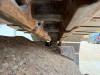 Volvo EC300EL - Hammer Lines / Automatic Greasing Foto 26 thumbnail