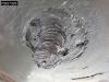 Schmitz SCB*S3B 3 Achsen TUV 02/27 Lift Axle Foto 29 thumbnail