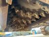 Bomag BM2000 / 75 Cold Planer Foto 10 thumbnail