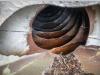 De Buf BETON MIXER/MALAXEUR/MISCHER10M3 Foto 14 thumbnail