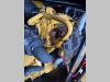 Caterpillar DE50E0 - 50 kVA Generator - DPX-18006 Foto 13 thumbnail