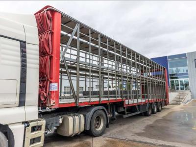 Lecitrailer CUELLO CISNE 3E-RD+DOUBLE ETAGE+DHOLLANDIA 2TON vendida por Braem NV