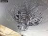 Schmitz SGF*S3 3 axles Lift Axle 32m3 Foto 25 thumbnail